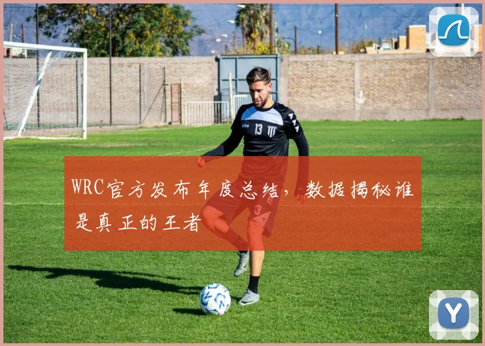 WRC官方发布年度总结，数据揭秘谁是真正的王者